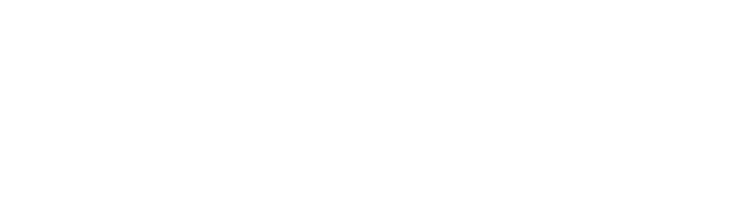 Geely Wonder Group
